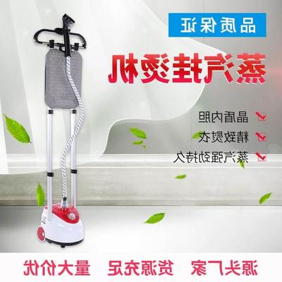 electric compact iron steam soleplate clothes steamer 蒸气熨