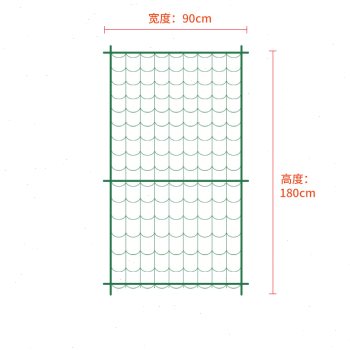 植物爬藤支架月季爬藤架花架铁线莲支撑杆园艺花支架葡萄架爬藤网 鲜花速递/花卉仿真/绿植园艺 花架 原图主图