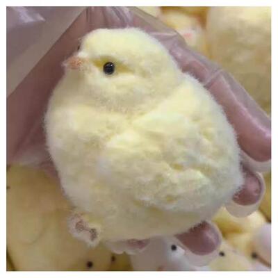 Chick Taba Squishy Toys Ultra Soft Squeeze Fidget rua泥感鸡