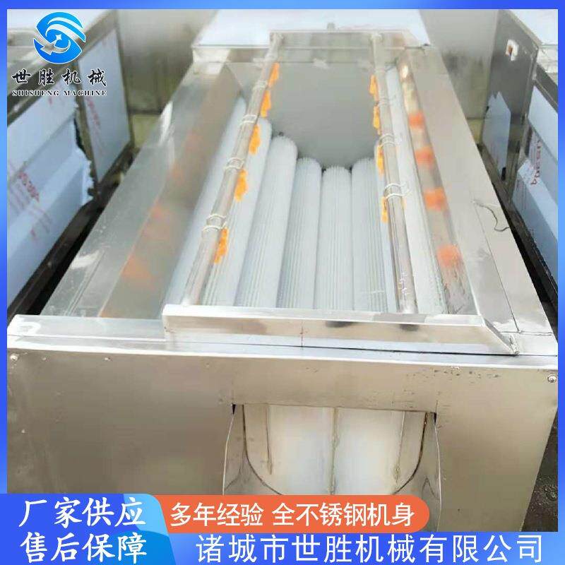 供应全自动萝卜去皮清洗机 不锈钢毛刷清洗设备 茨菇毛辊清洗机