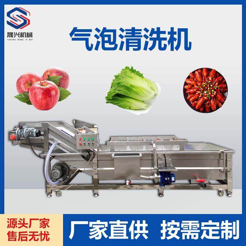 苹果生菜气泡清洗机辣椒菠菜小龙虾喷淋式气泡清洗机酱腌菜清洗机