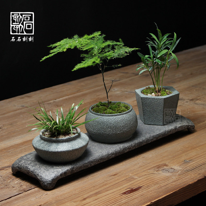 石石刻刻天然手工青石小花盆微景观文竹金钱多肉植物盆栽摆件绿植