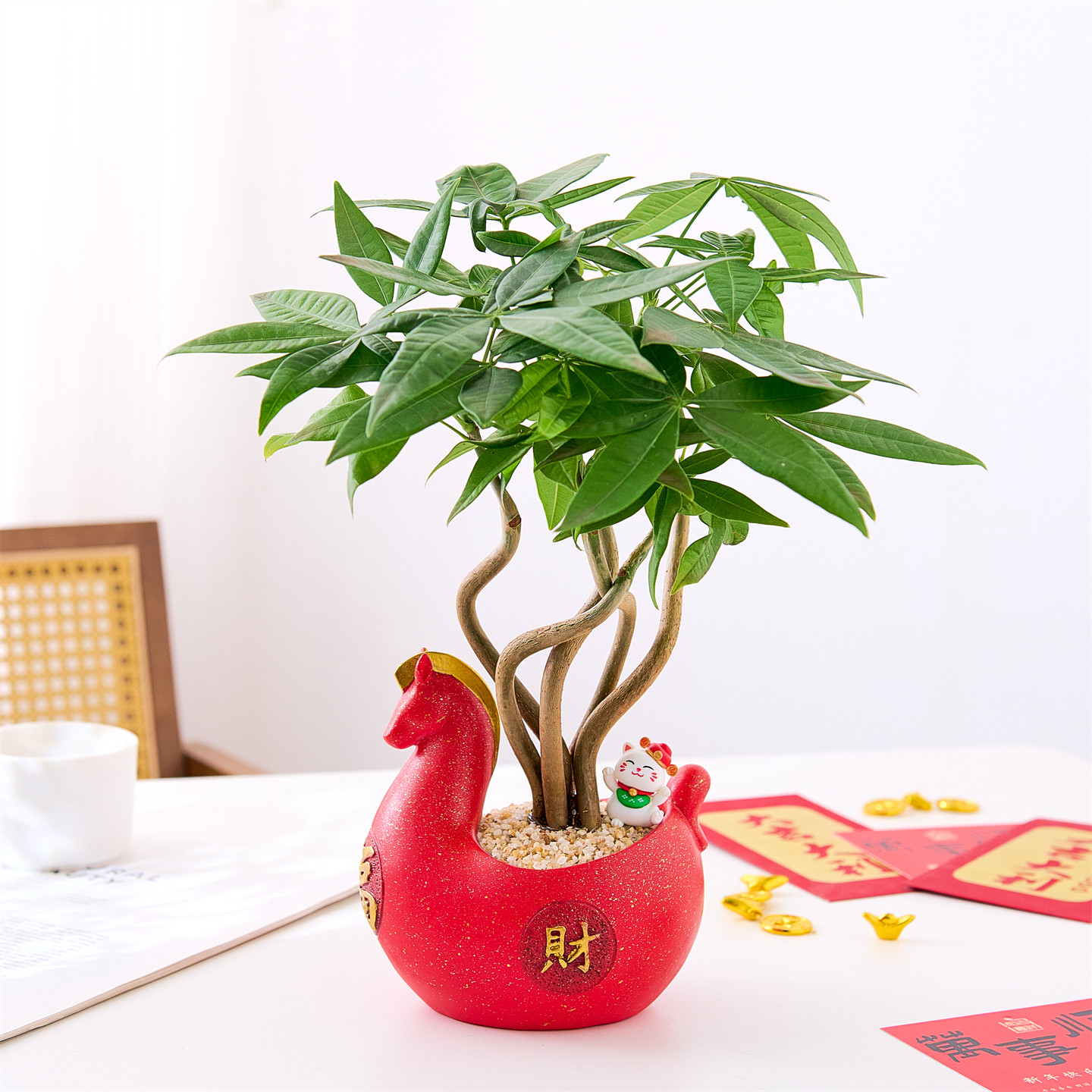 2026新款马上有钱花盆招财寓意红陶花盆室内办公创意陶瓷小福马