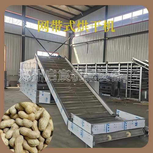 连续式网带烘干机湿花生干燥带壳花生南瓜籽核桃干果烘干设备