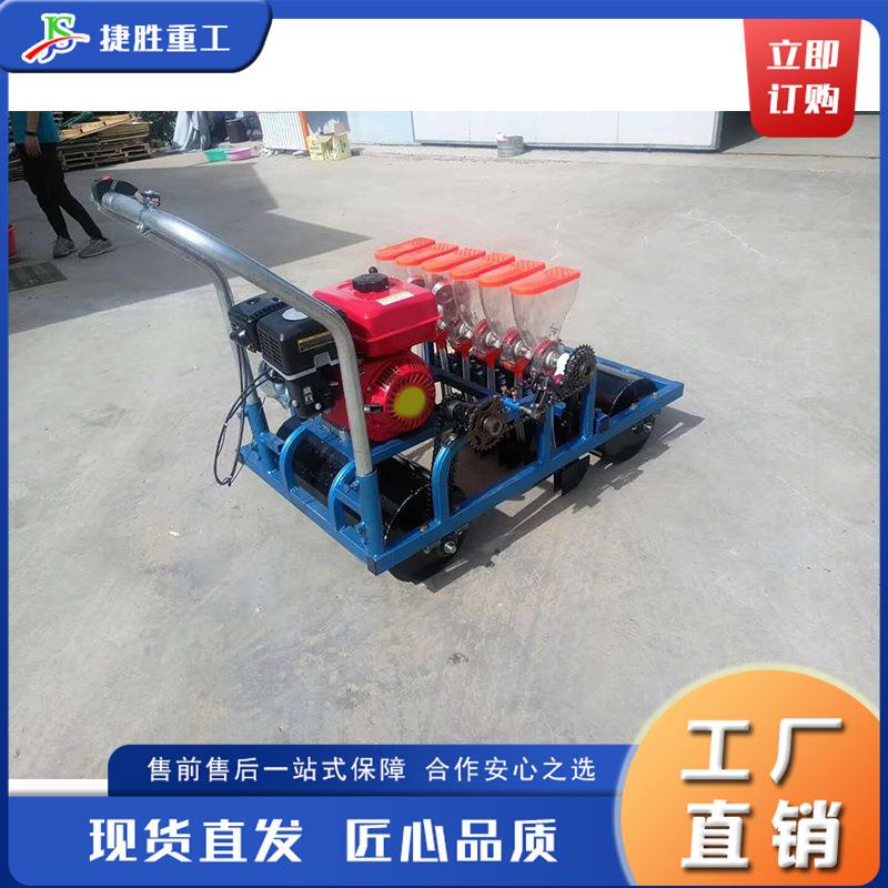 手推式蔬菜播种机 平原丘陵大蒜种植机 电动大豆麦子蔬菜播撒机