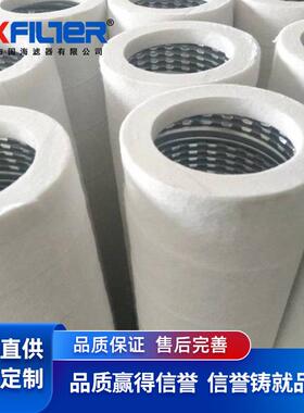厂家直销天然气滤芯PCHG372 碳钢端盖骨架聚酯纤维滤材 精度5微米