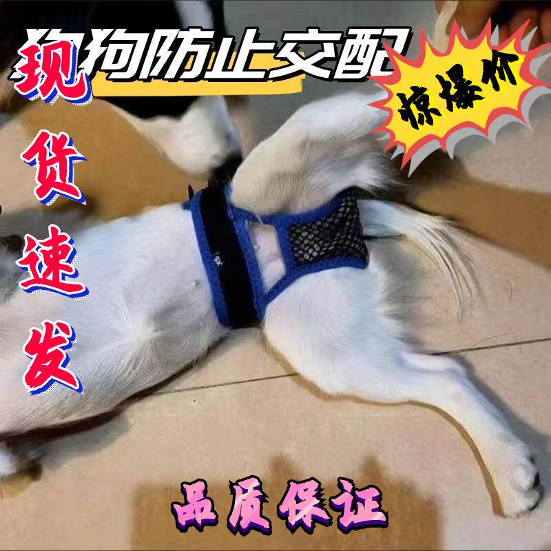 狗狗防交配裤例假生理