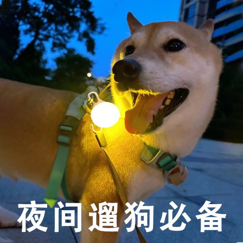 遛狗夜灯神器发光LED夜行灯夜间防走丢夜晚项圈充电脖圈宠物吊坠