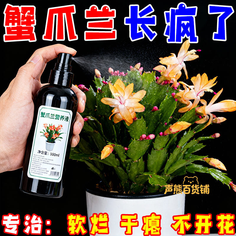蟹爪兰专用营养液专用肥植物液体