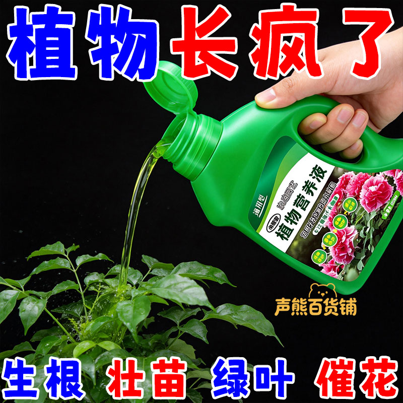 超浓缩植物营养液绿萝叶黄文竹