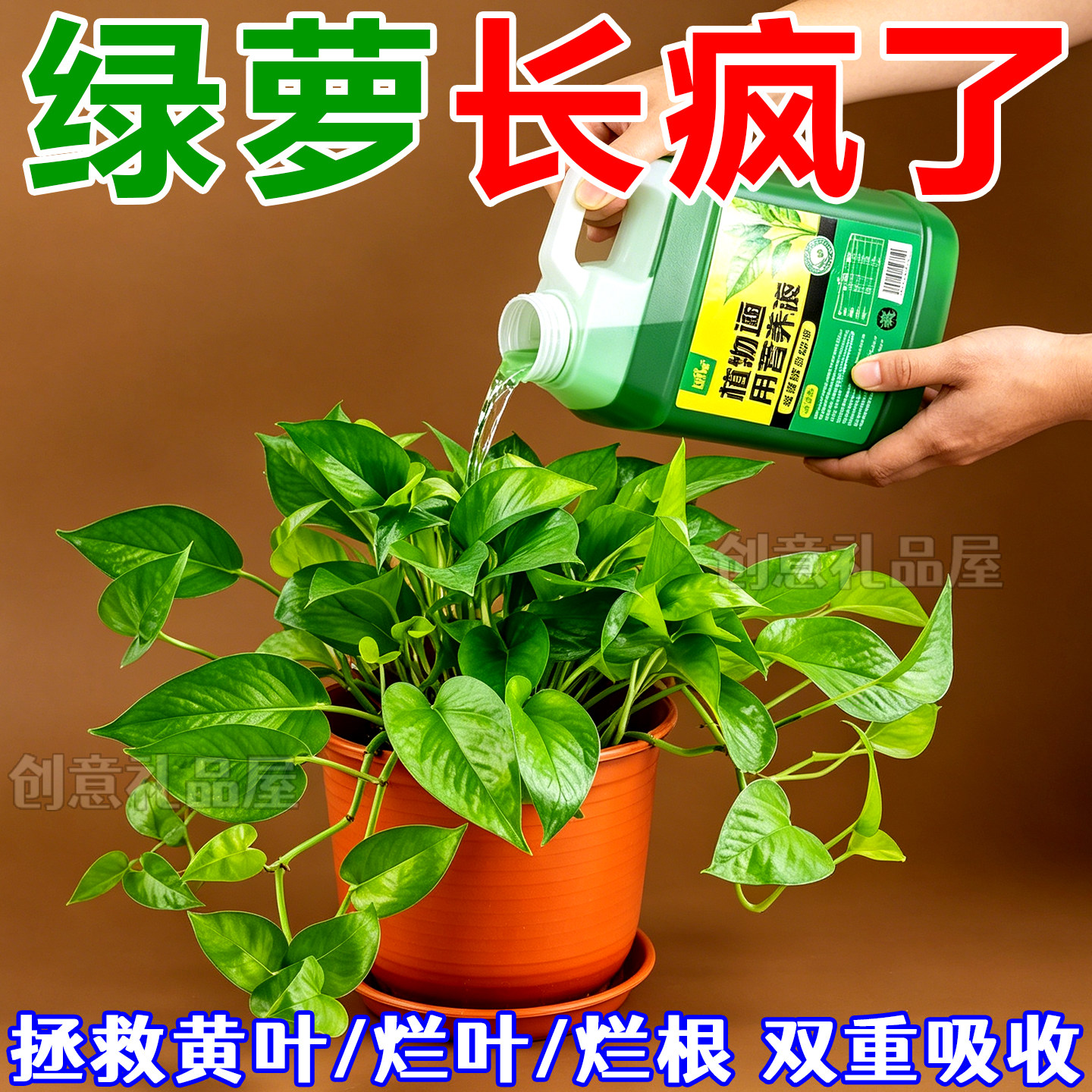 绿萝专用营养液盆栽水培家用