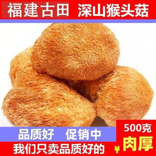 菌状元猴头菇干货肉厚无根