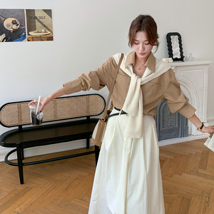 高级感韩系连衣裙套装女2024新款衬衫半身裙气质宽松温柔风四件套图片