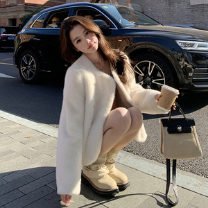 现货主推-仿水貂皮毛一体191-（F672-1）-P195-K289,女装皮草,浙宝210（原浙宝191）