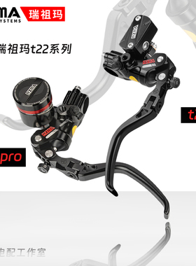 瑞祖玛改装碟刹T22z/pro直推式上泵九号F2z100/F90m MZ小牛NXT