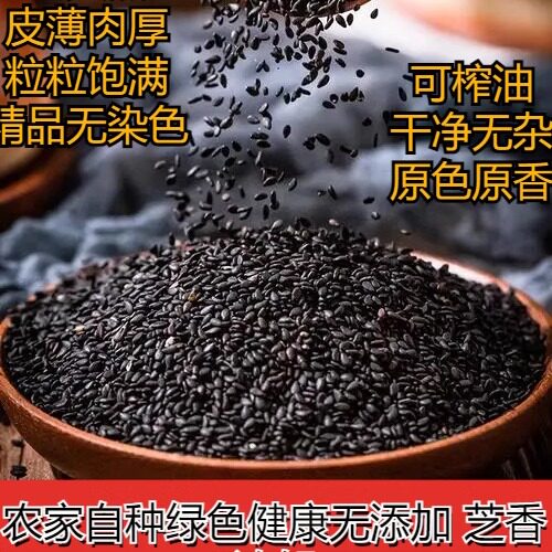 25年新货农家自产黑芝麻新鲜生芝麻颗粒饱满免洗散装农家干货