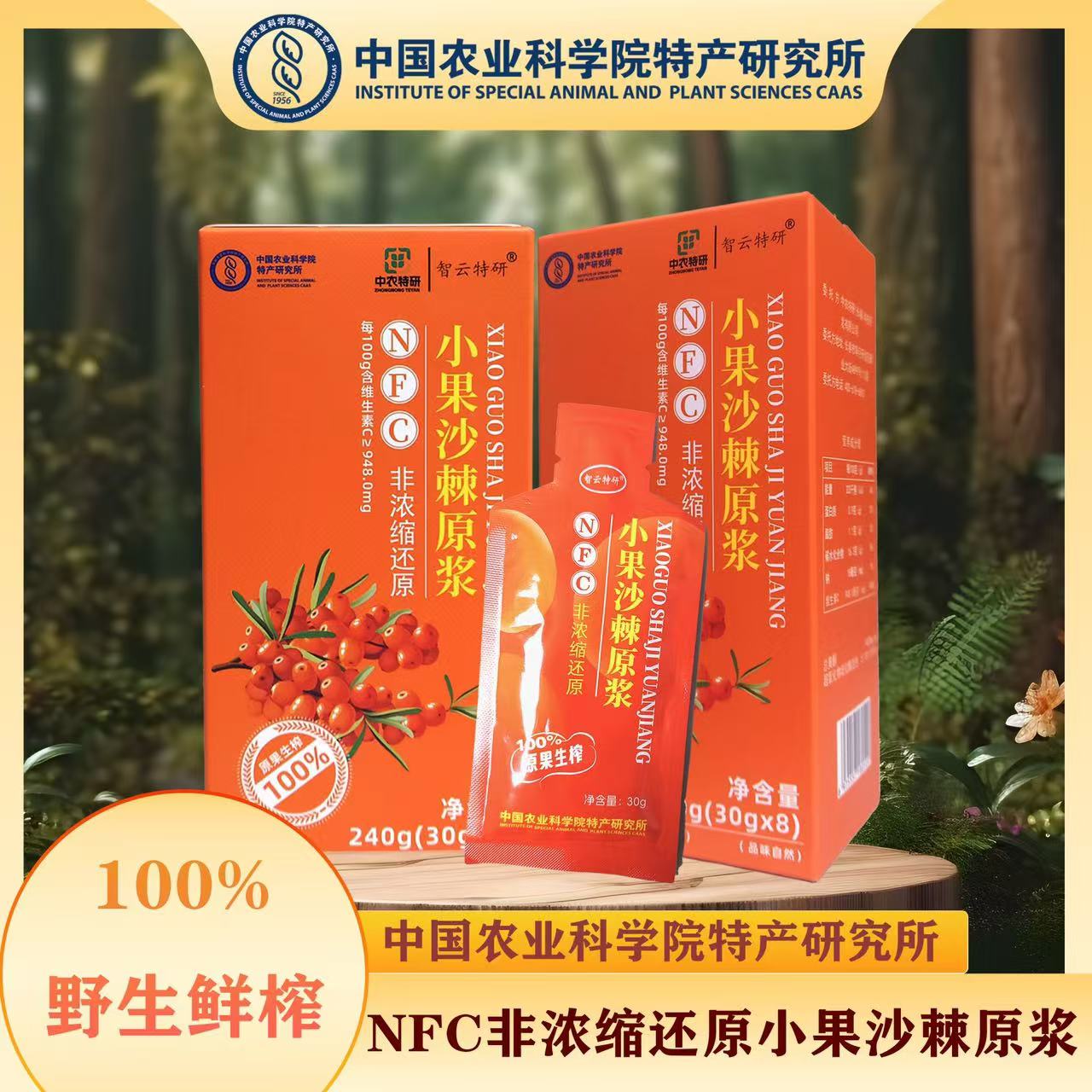 中国农业科学院特产所NFC小果沙棘原浆240g