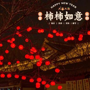新年柿子灯串led彩灯串灯柿柿如意挂树上装饰灯过年春节氛围灯