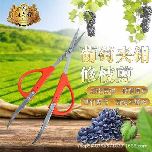 新款直销带镊子葡萄蔬果专用剪刀取坏果阳光玫瑰带夹子修枝剪稀果