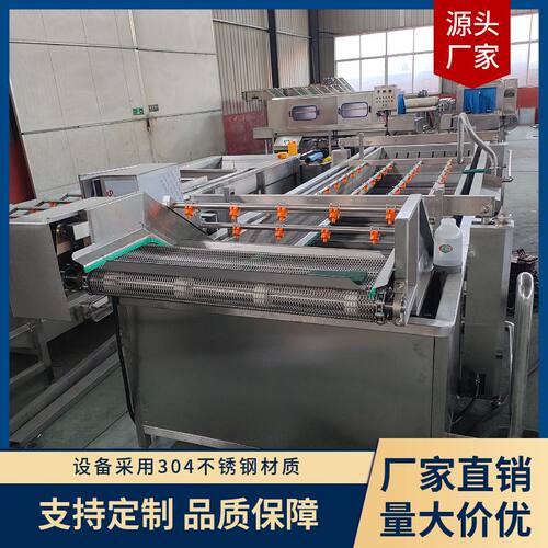 圣女果洗菜机 净菜加工设备  菠菜清洗流水线 鼓泡喷淋清洗提升机