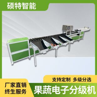 手掰橙糖度单通道重量分选机 褚橙花斑果外观检测称重选果机