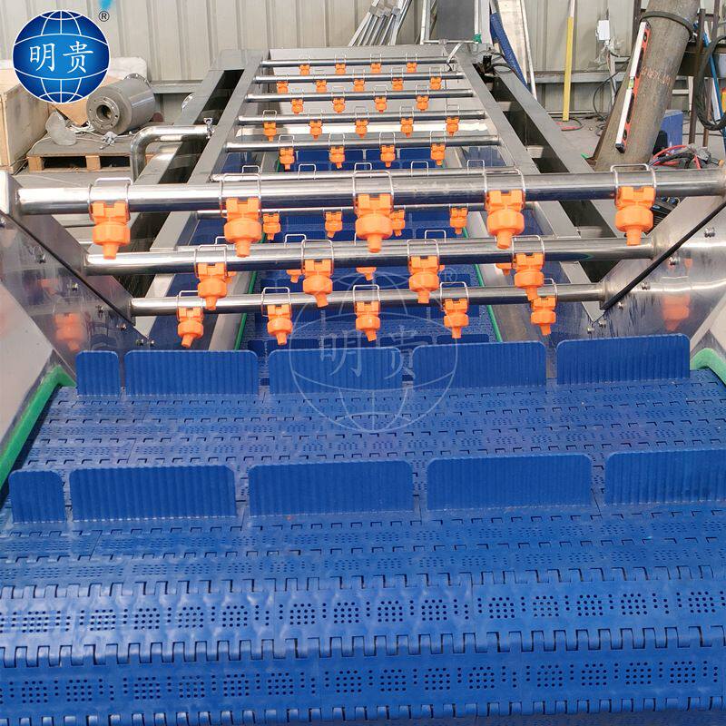 胡萝卜丁清洗流水线 鼓泡式蔬菜清洗机 连续喷淋洗菜机器