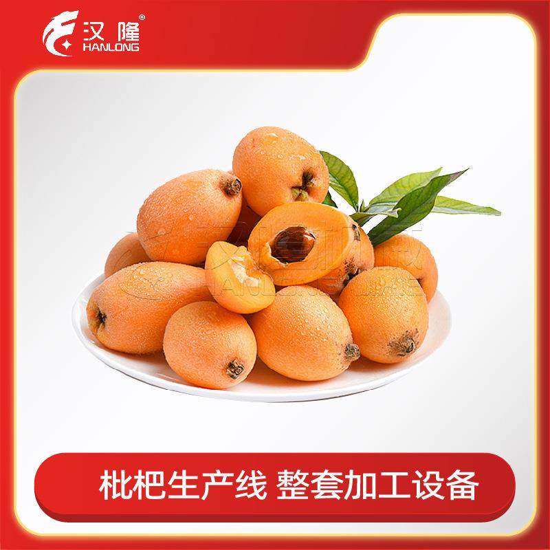 厂家供应大中小型成套枇杷膏枇杷汁生产线果汁果酱饮料汁生产线