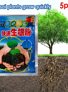 5Pcs Fast Rooting Powder Rooting Hormone Powder Improve Flow