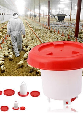Robust Plastic Chicken Quail Poultry Hen Drinker Food Feede