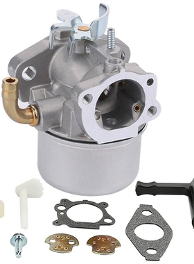 10pcs/Set Carburetor Kit For 215369 Intek I/C 206 Pressure W