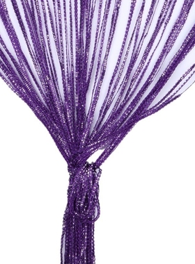 hot sale 1m*2m Silver Leather Line Curtain String Curtain Do