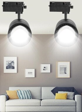 1 Pair COB Spot Lamps 10W Alunum Rail rack Ceiling Decor Lig