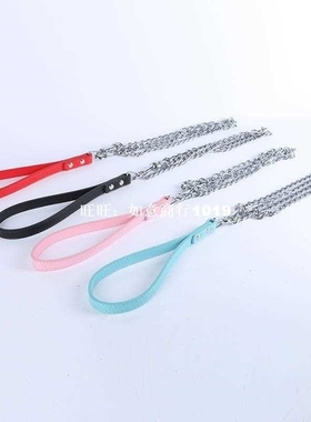 Pet Dogs Iron Chain Leash Slip Lead Strap Puppy Traction Str