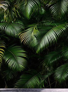 Custom 3D Photo Mural Green Plant Leaves Canvas Wallpaper