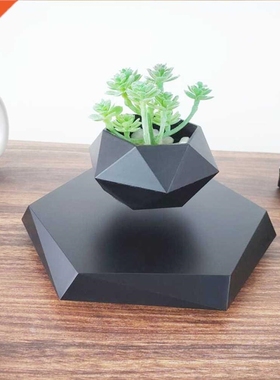 Floating Magnetic Levitating Flower Pot Bonsai Air Plant Po