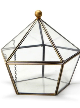Irregular Glass Geometric Terrarium Box Tabletop Succulent A
