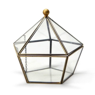 Irregular Glass Geometric Terrarium Box Tabletop Succulent A