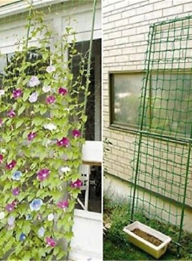 Hot Sell Garden Green Nylon Trellis Netting Support Climbing