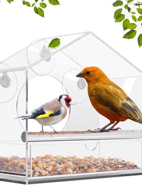 Bird Feeder Acrylic Transparent Outdoor Window Birdfeeder Tr