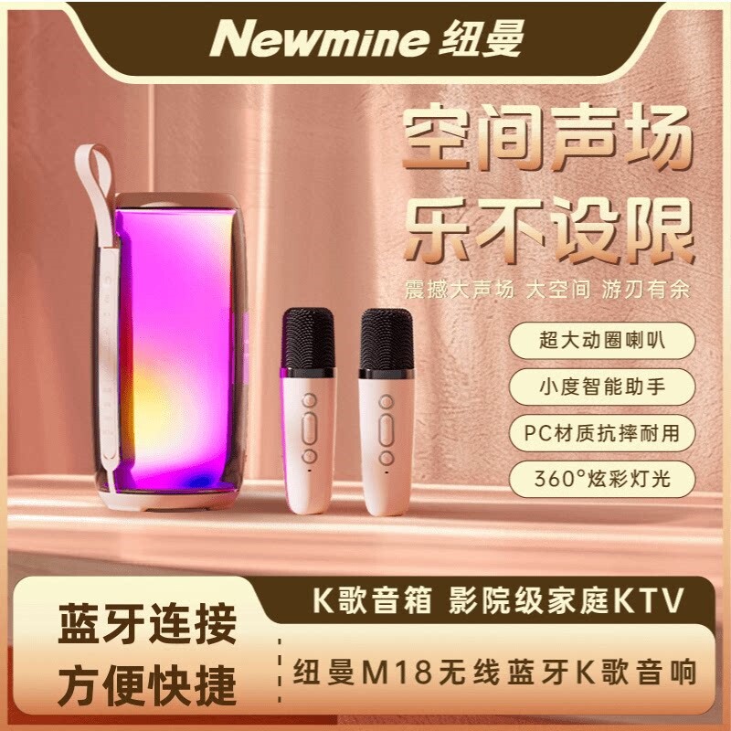 纽曼M18蓝牙音箱家用无线k歌音响克风户外唱歌小型家庭ktv话筒麦