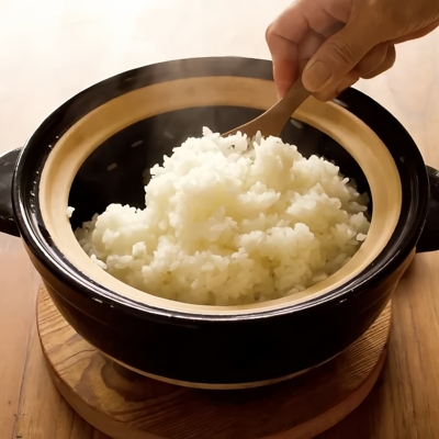 日本进口长谷园伊贺烧烧砂锅