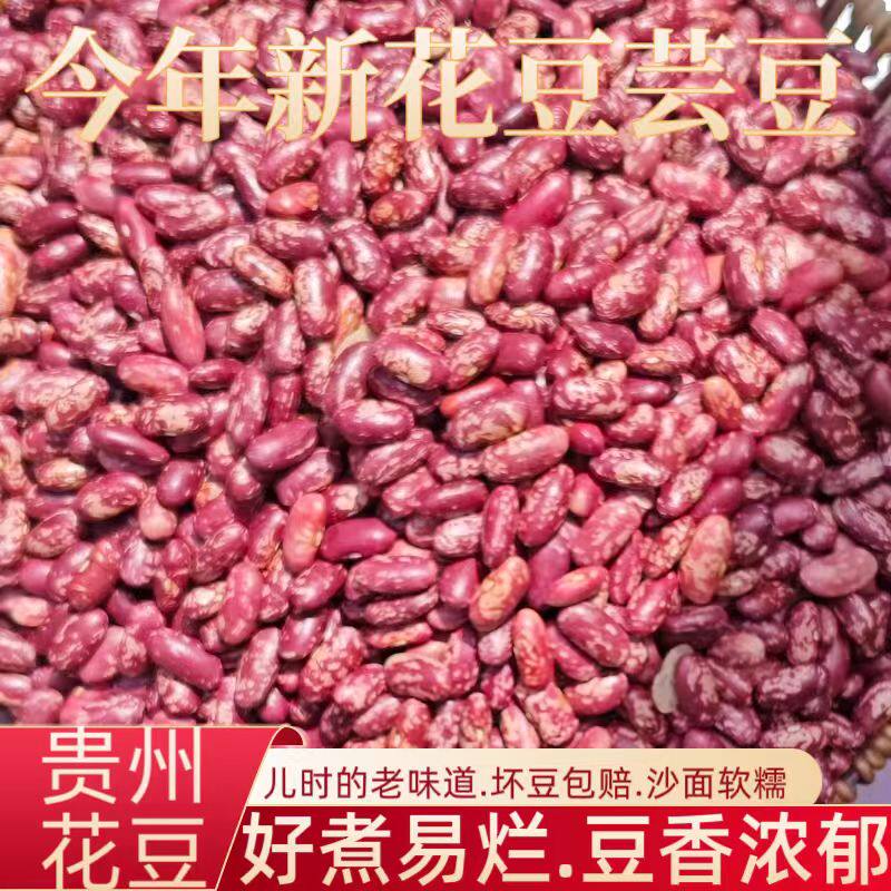 贵州毕节特产四季豆干货花豆农家自种红豆本地老品种花豆酸菜专用