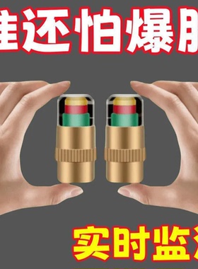 汽车轮胎气门嘴帽漏气检测气压监测帽气嘴帽 胎压监测外置通用款