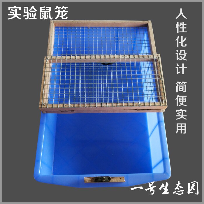 速发新款小白鼠繁殖笼实验鼠笼花枝鼠仓鼠饲养盒养殖简箱单实用图片