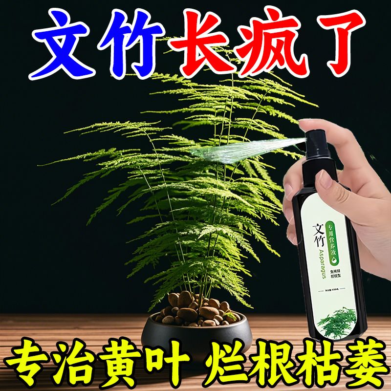 速发【液季爆芽】文竹肥营养子治叶四发黄枯瘦干尖烂根落叶促生长