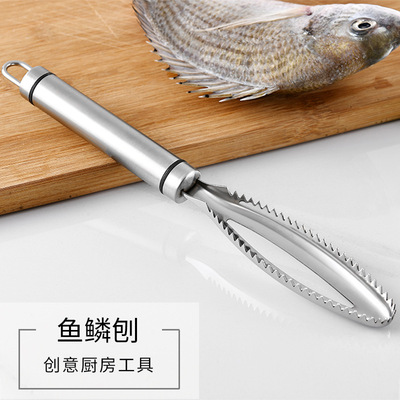 速发Fish sce plaer, scer,  cer,s04 stle steel sc