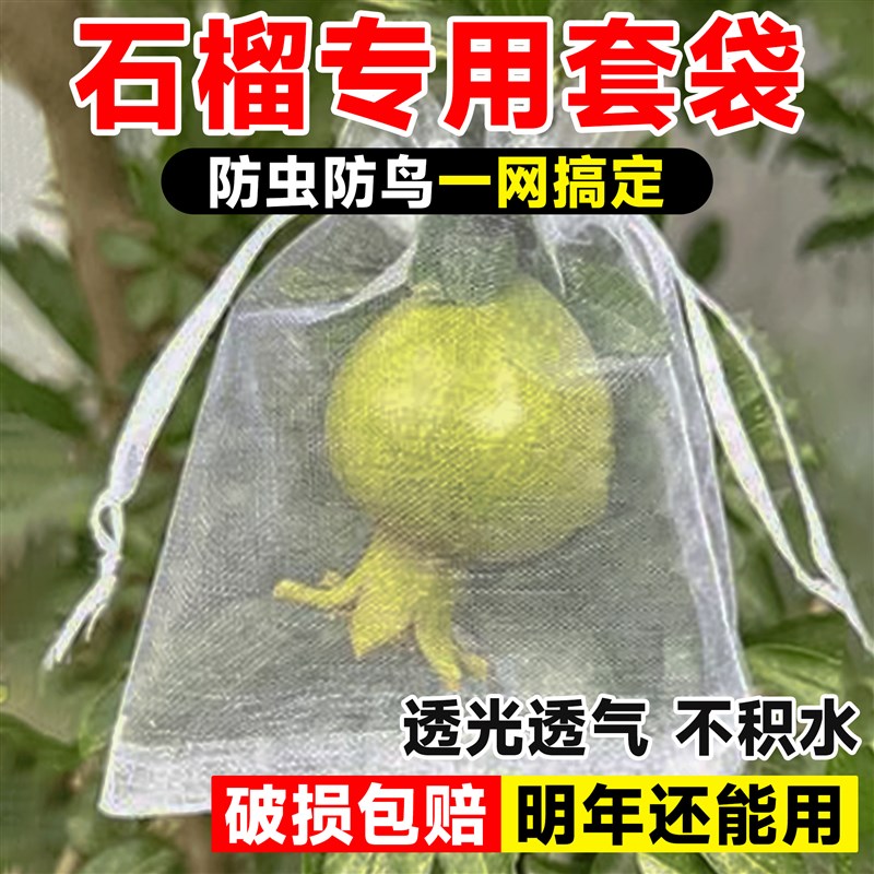 速发石榴专用套袋番鸟榴果套袋防虫防石网纱网桃莲雾袋子水果袋子