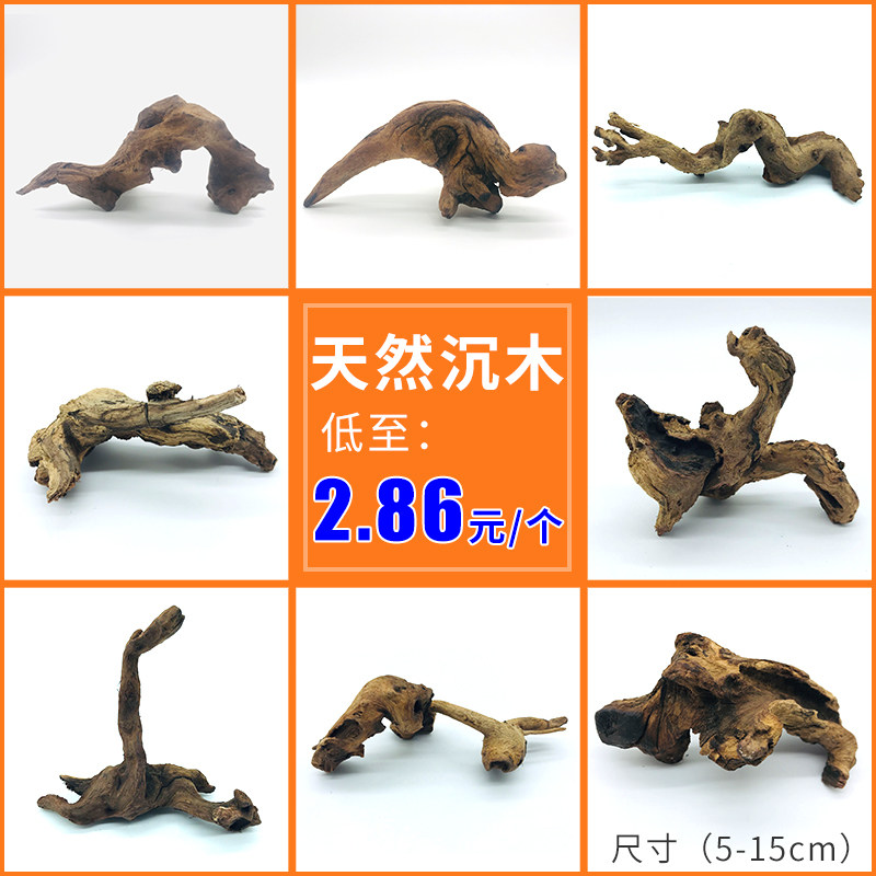 速发鱼缸沉号造景水草小号大木大根莫斯树树桩树根杜鹃型枯紫柚木