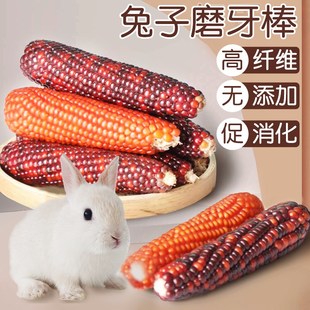 速发兔子磨牙零食神猪仓鼠啃咬鼠棒豚草器吃的粮食物用品