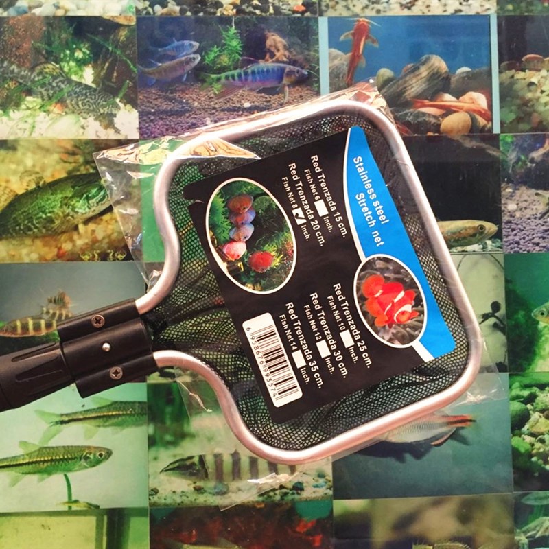 速发水族箱渔捞黑色捞手中大型鱼缸伸锦兜抄网缩鲤加长